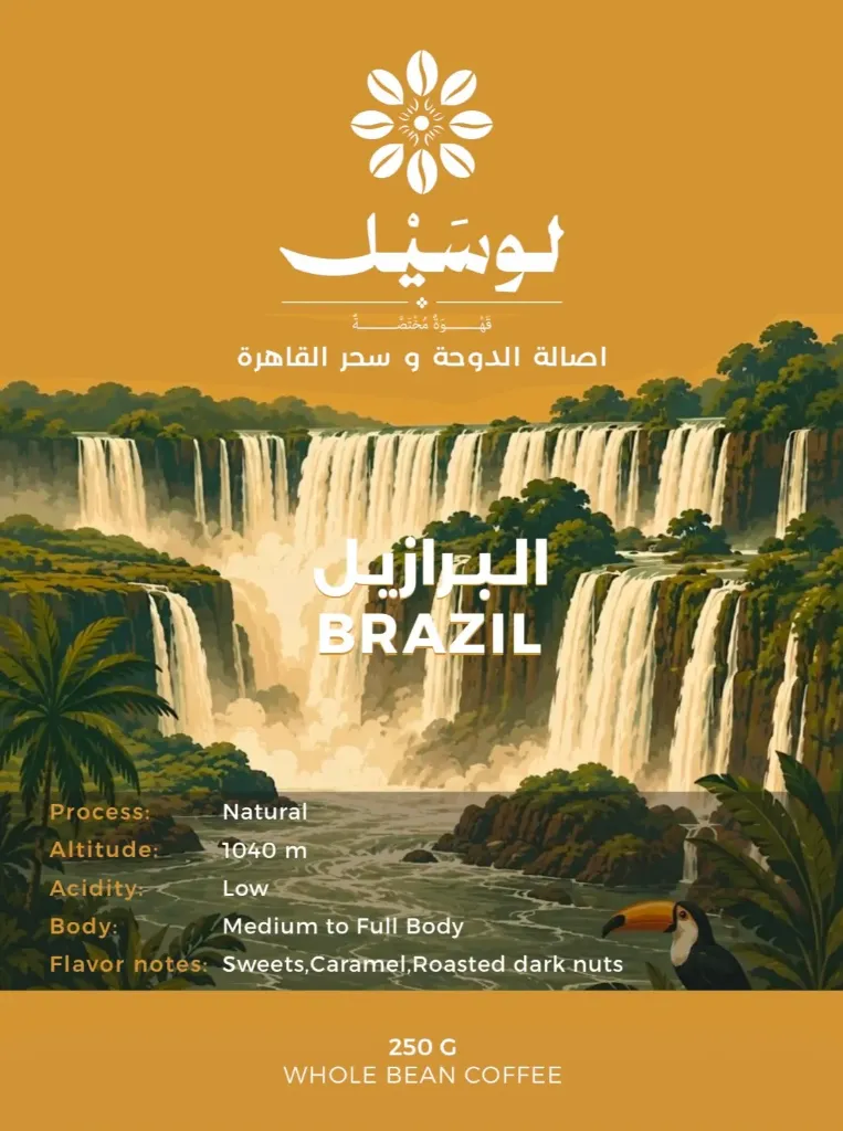 [RC_004] Brazil 250 gm